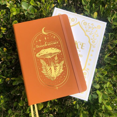 Mystical Mushroom Bullet Journal